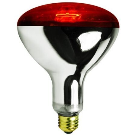 Infrared bulb 1