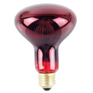 Infrared bulb in Kenya