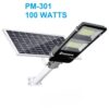 Premier 100 Watts solar panel flood light